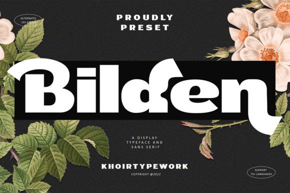 Bilden: A Bold and Chic Display Font for Modern Design